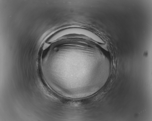 X0000116130247200912141116