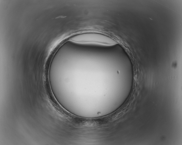 X0000116130248200912141116
