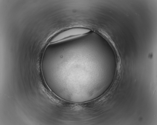 X0000116130249200912141116