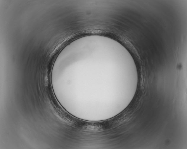X0000116130251200912141116