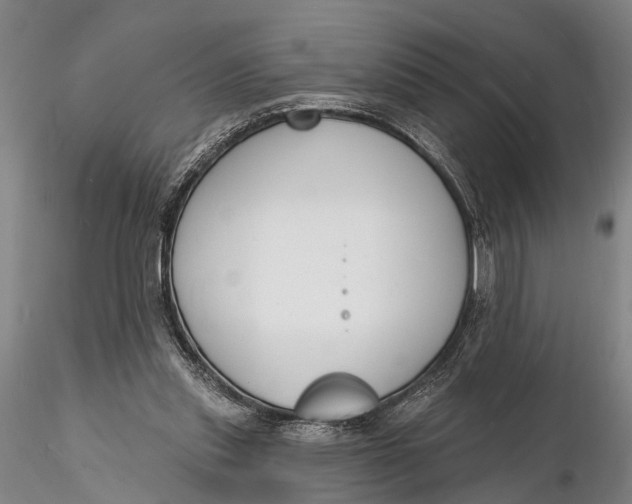 X0000116130253200912141116