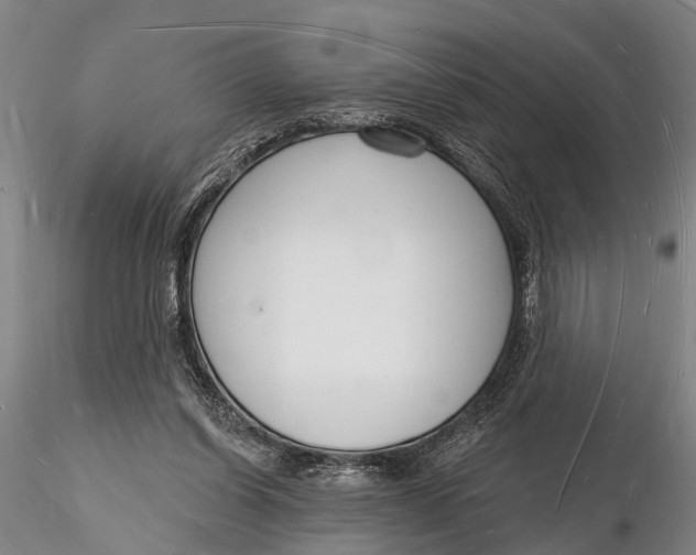 X0000116130254200912141116