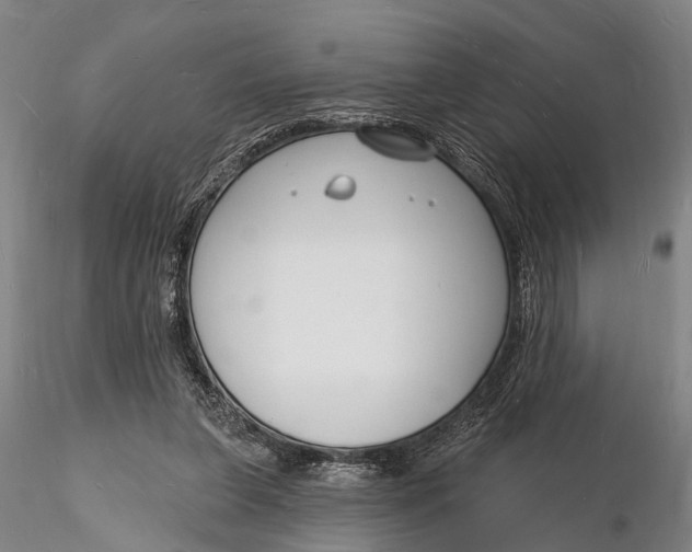 X0000116130255200912141116
