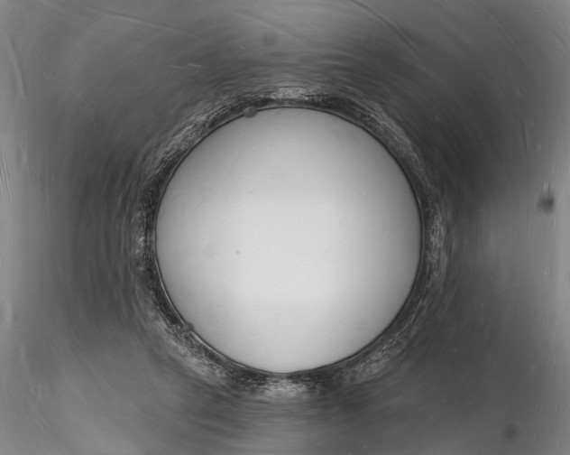 X0000116130257200912141116