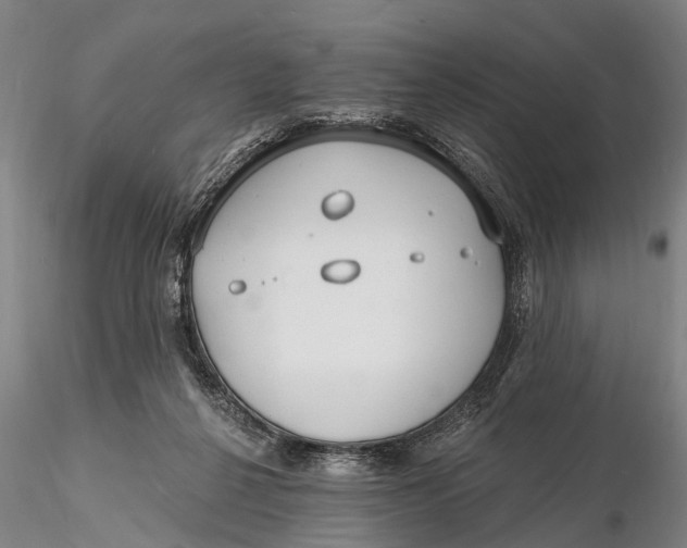 X0000116130264200912141116