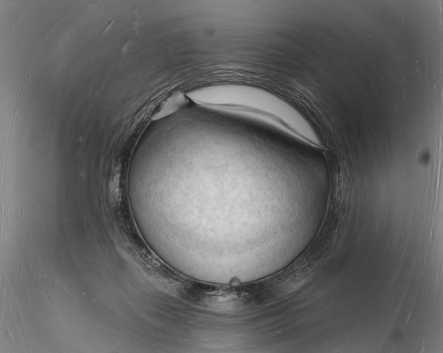 X0000116130267200912141116