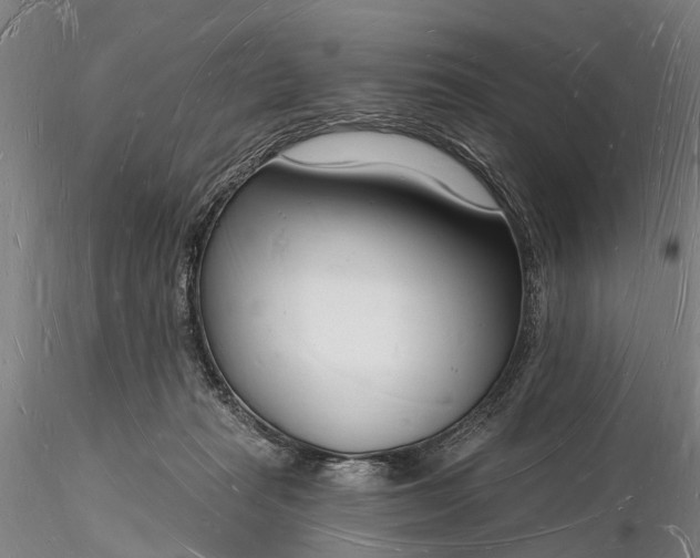 X0000116130269200912141116