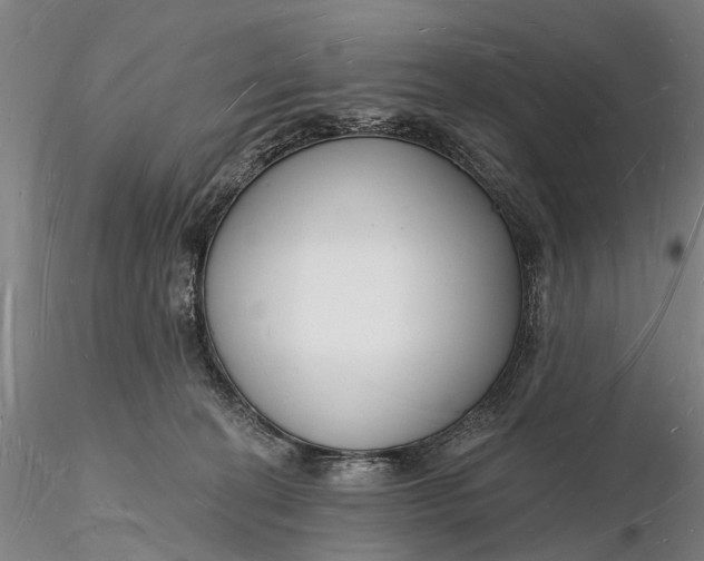 X0000116130274200912141116