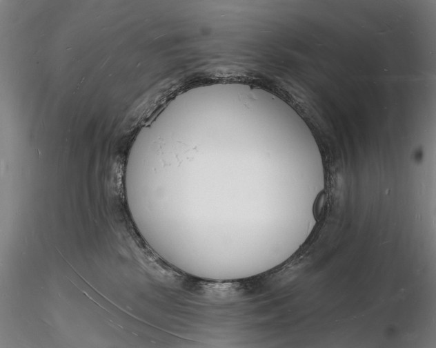X0000116130281200912141116