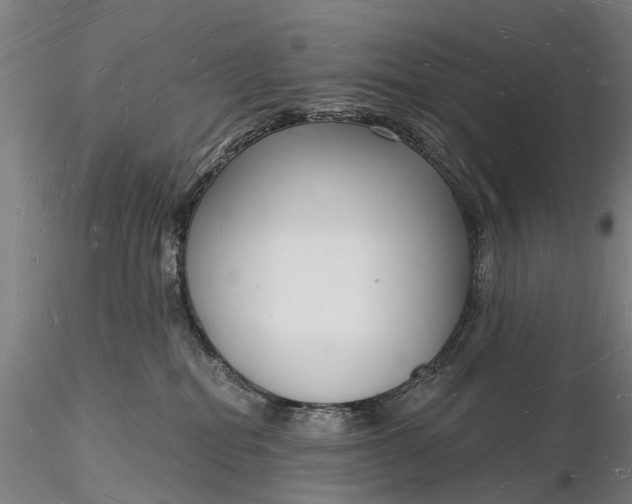 X0000116130282200912141116