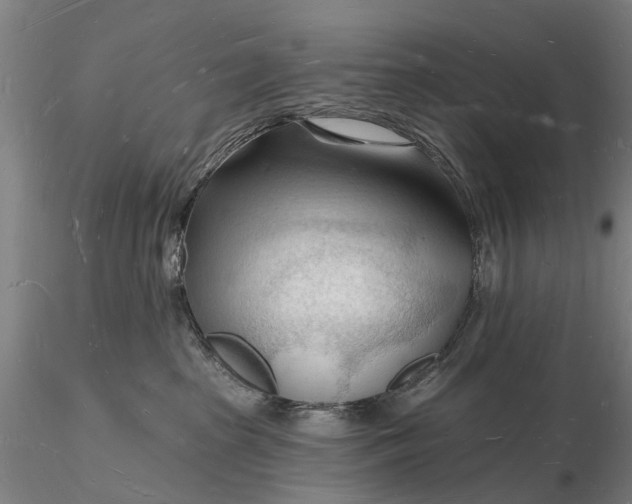 X0000116130285200912141116