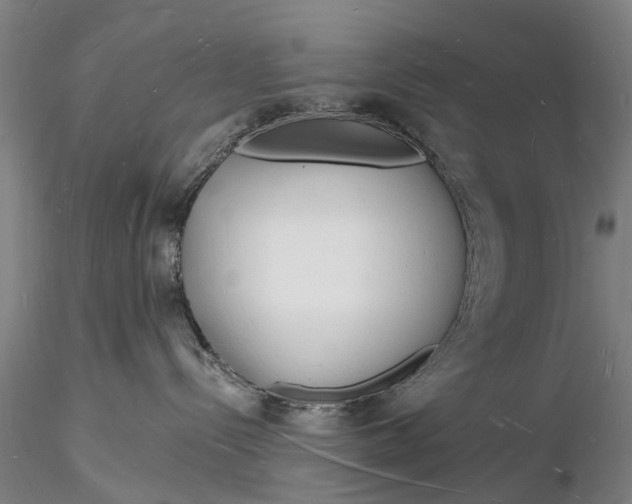 X0000116130288200912141117
