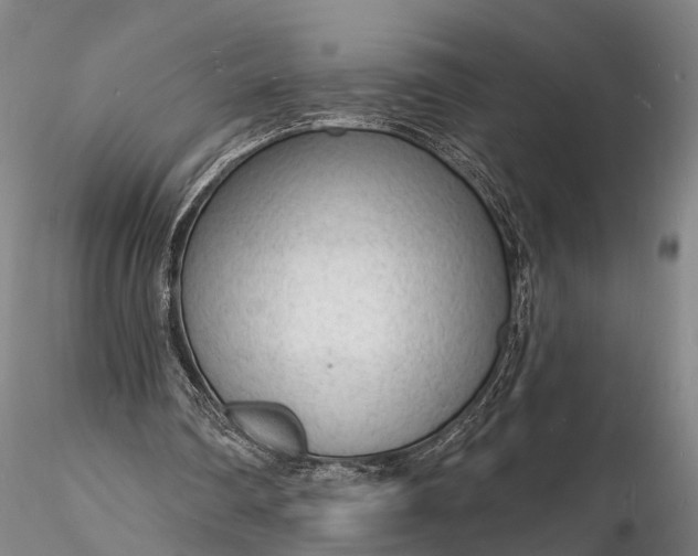 X0000116130290200912141116