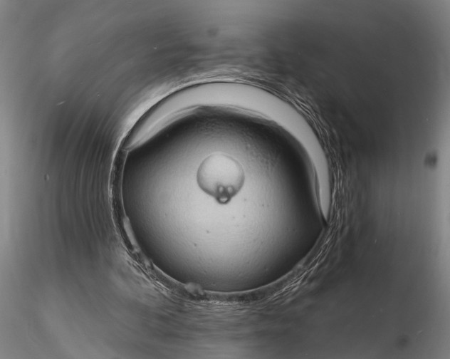 X0000116130292200912141116