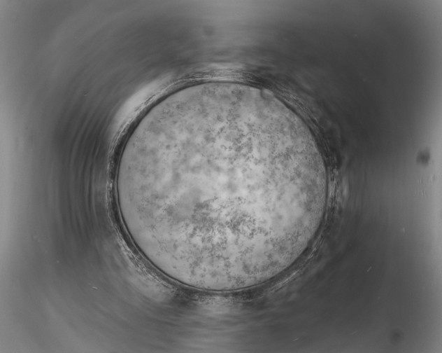 X0000116130293200912141116