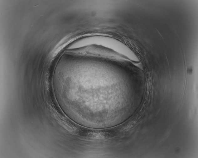 X0000116130295200912141116