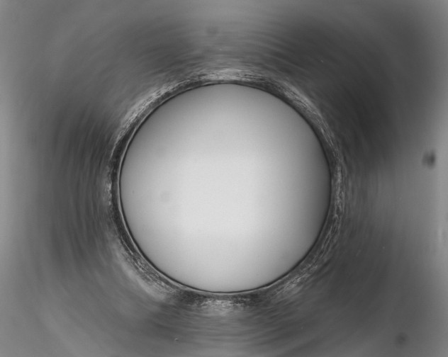 X0000116130298200912141116