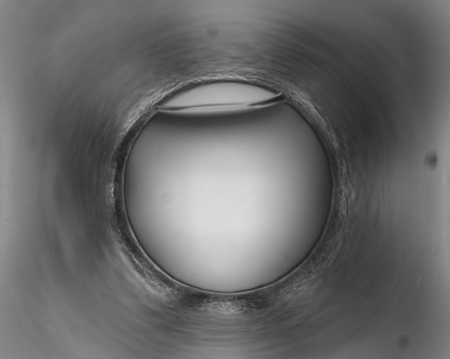 X0000116130299200912141116