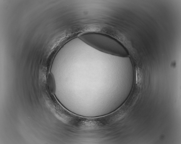 X0000116130300200912141116
