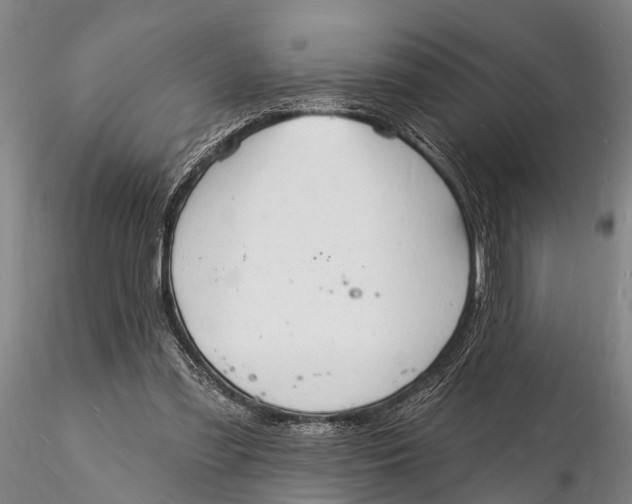 X0000116130301200912141116