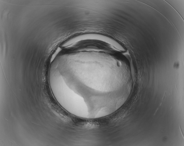 X0000116130303200912141116