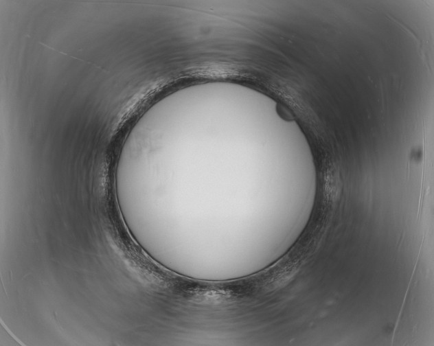 X0000116130304200912141116