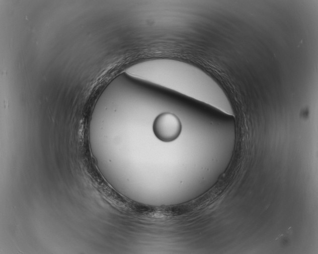 X0000116130308200912141116