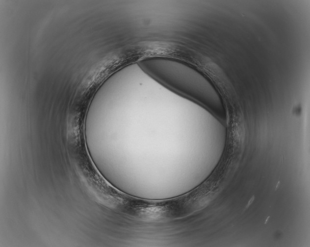 X0000116130312200912141116