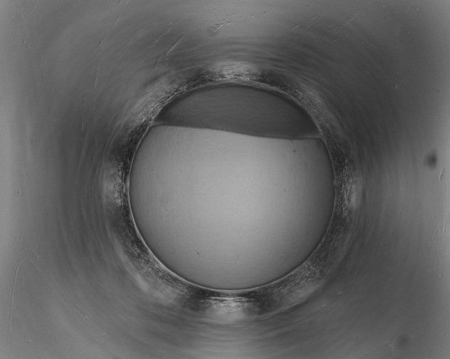 X0000116130316200912141115
