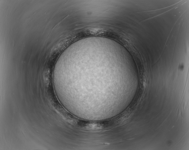 X0000116130319200912141115