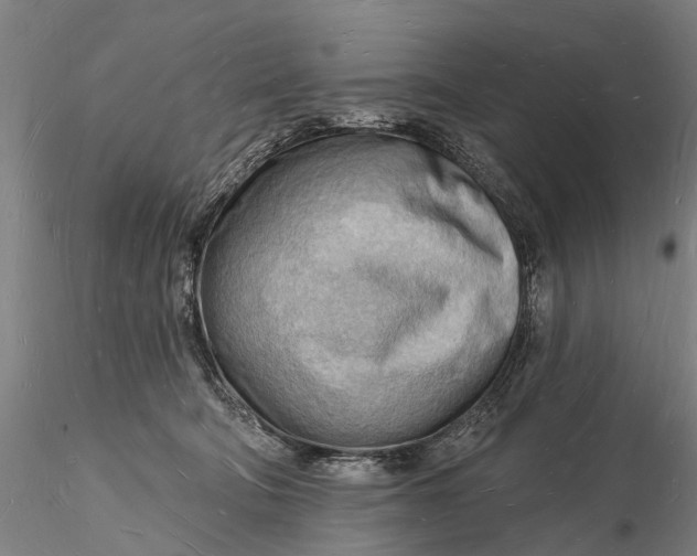 X0000116130322200912141115