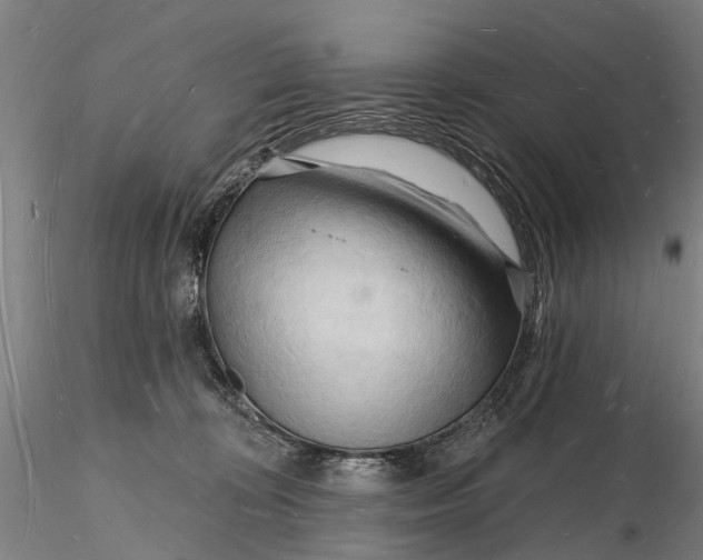X0000116130324200912141115
