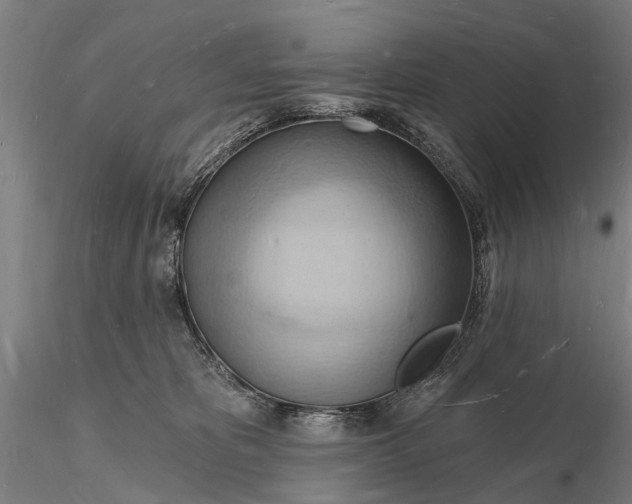 X0000116130325200912141115