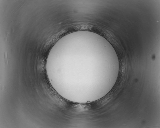 X0000116130326200912141115