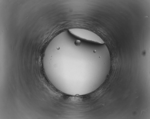 X0000116130327200912141115