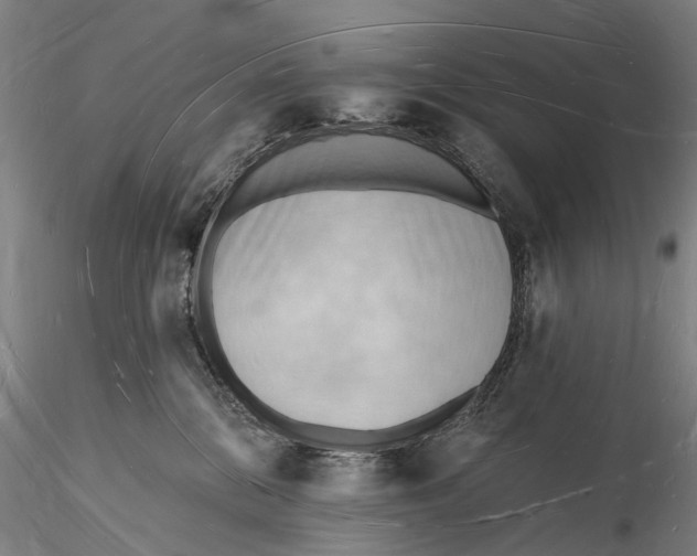 X0000116130328200912141115
