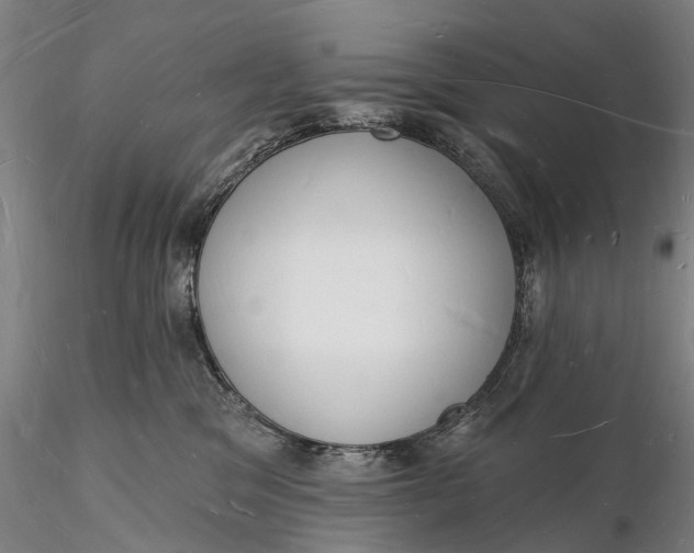 X0000116130329200912141115