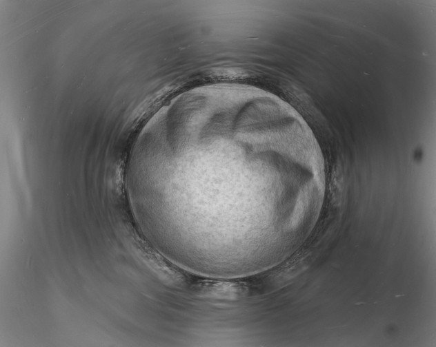 X0000116130330200912141115