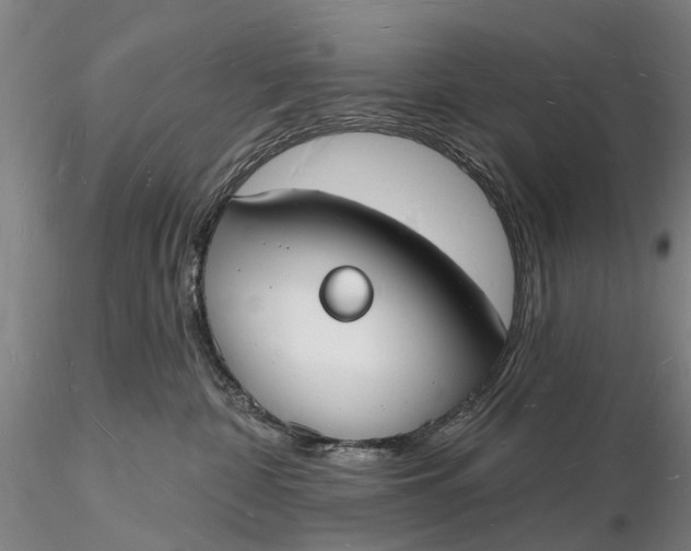 X0000116130332200912141115