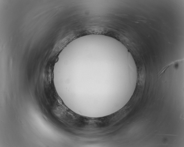X0000116130334200912141115