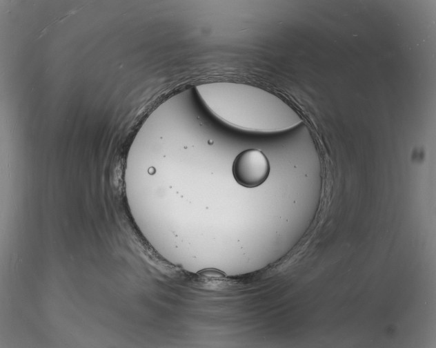 X0000116130336200912141115
