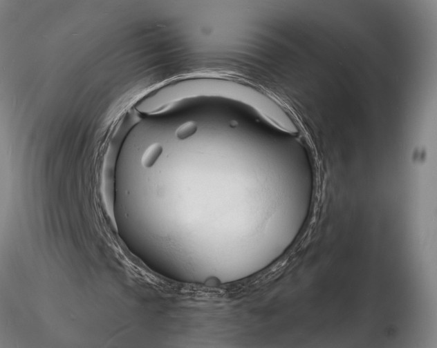 X0000116130337200912141115
