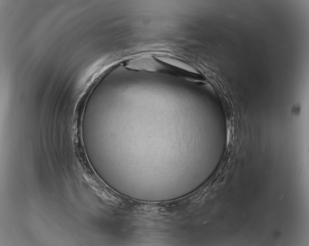 X0000116130339200912141115