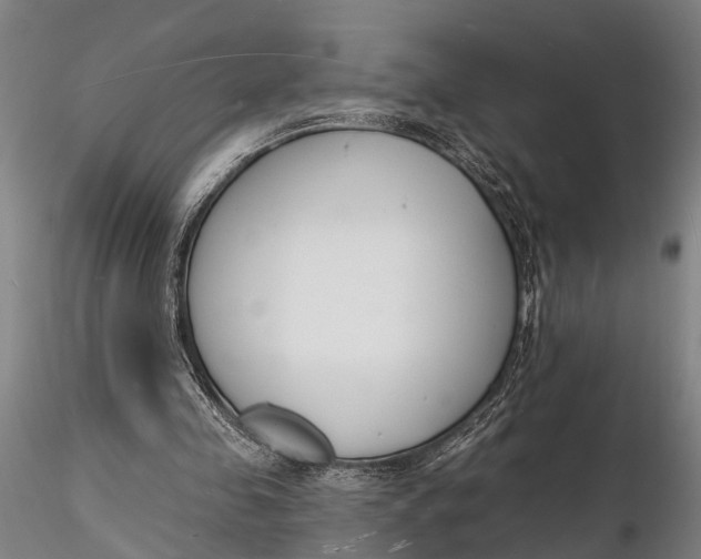 X0000116130341200912141115