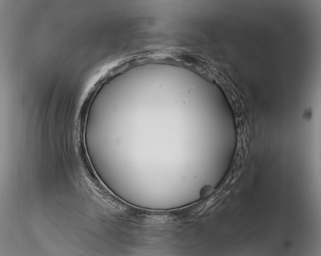 X0000116130342200912141115