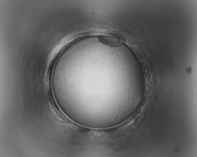 X0000116130343200912141115