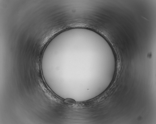 X0000116130345200912141115