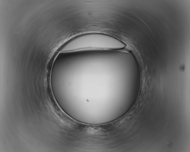 X0000116130346200912141115