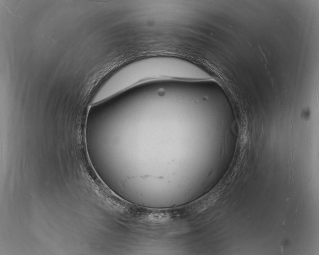 X0000116130353200912141115
