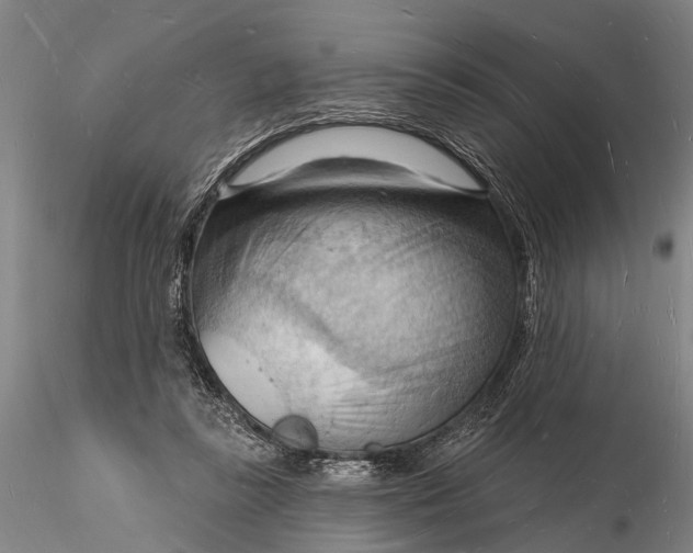 X0000116130355200912141115